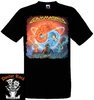 Camiseta Gamma Ray Insanity & Genius